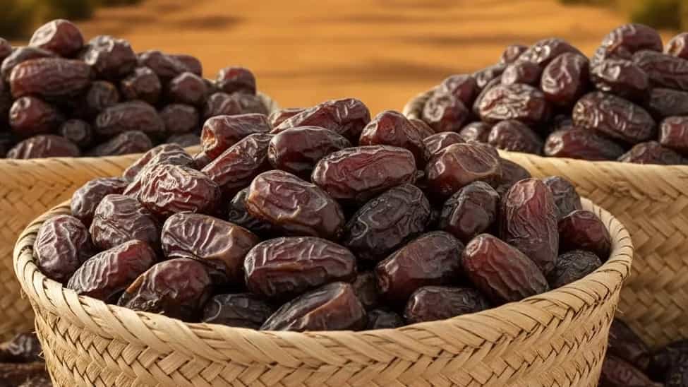 راهنمای جامع خرید عمده خرما مضافتی مستقیم از بم